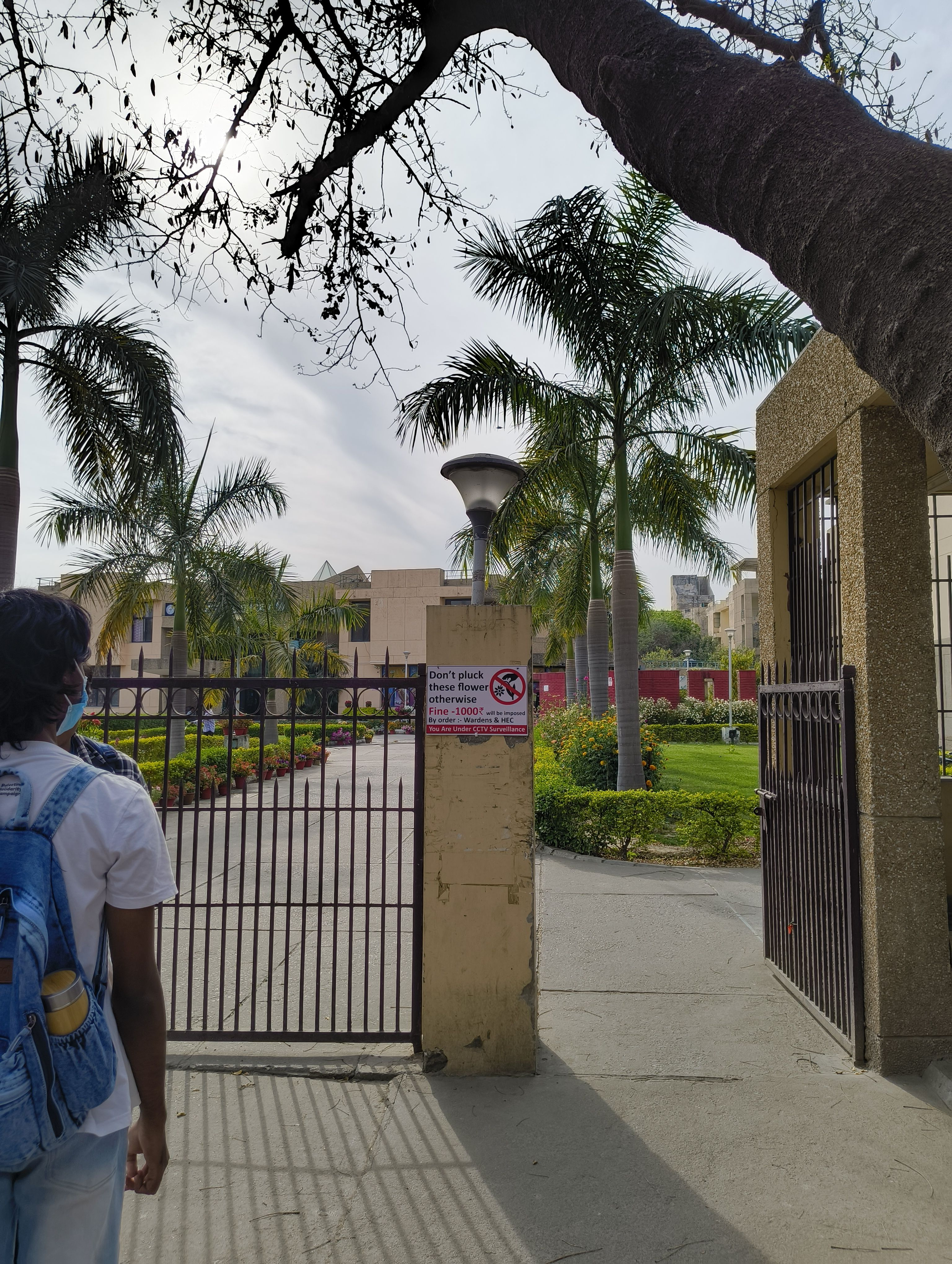 IIT Kanpur, Campus Canteen